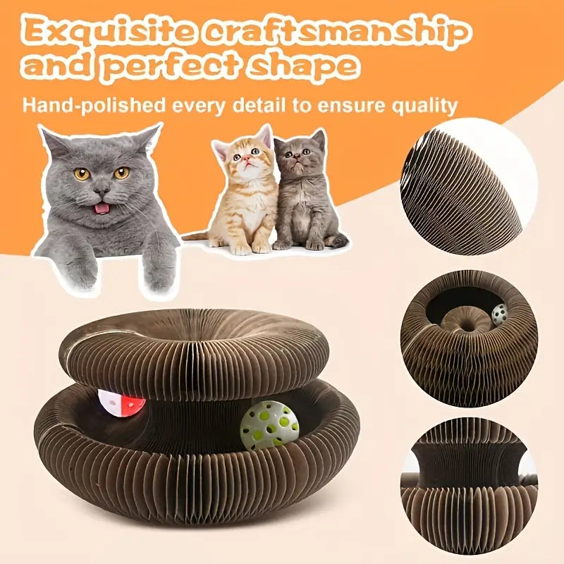 Magic Organ Cat Scratchers