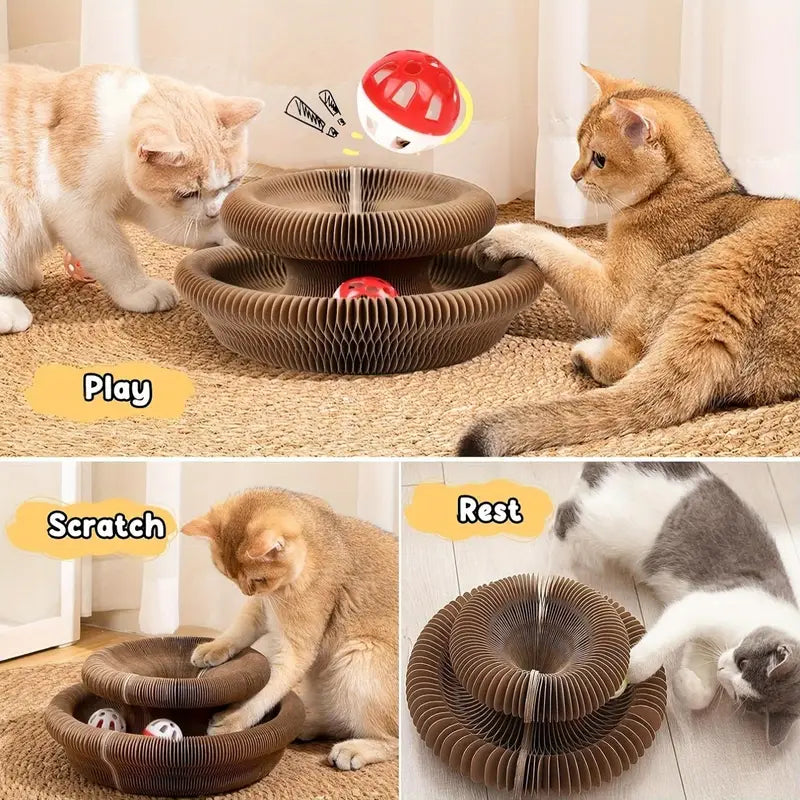 Magic Organ Cat Scratchers