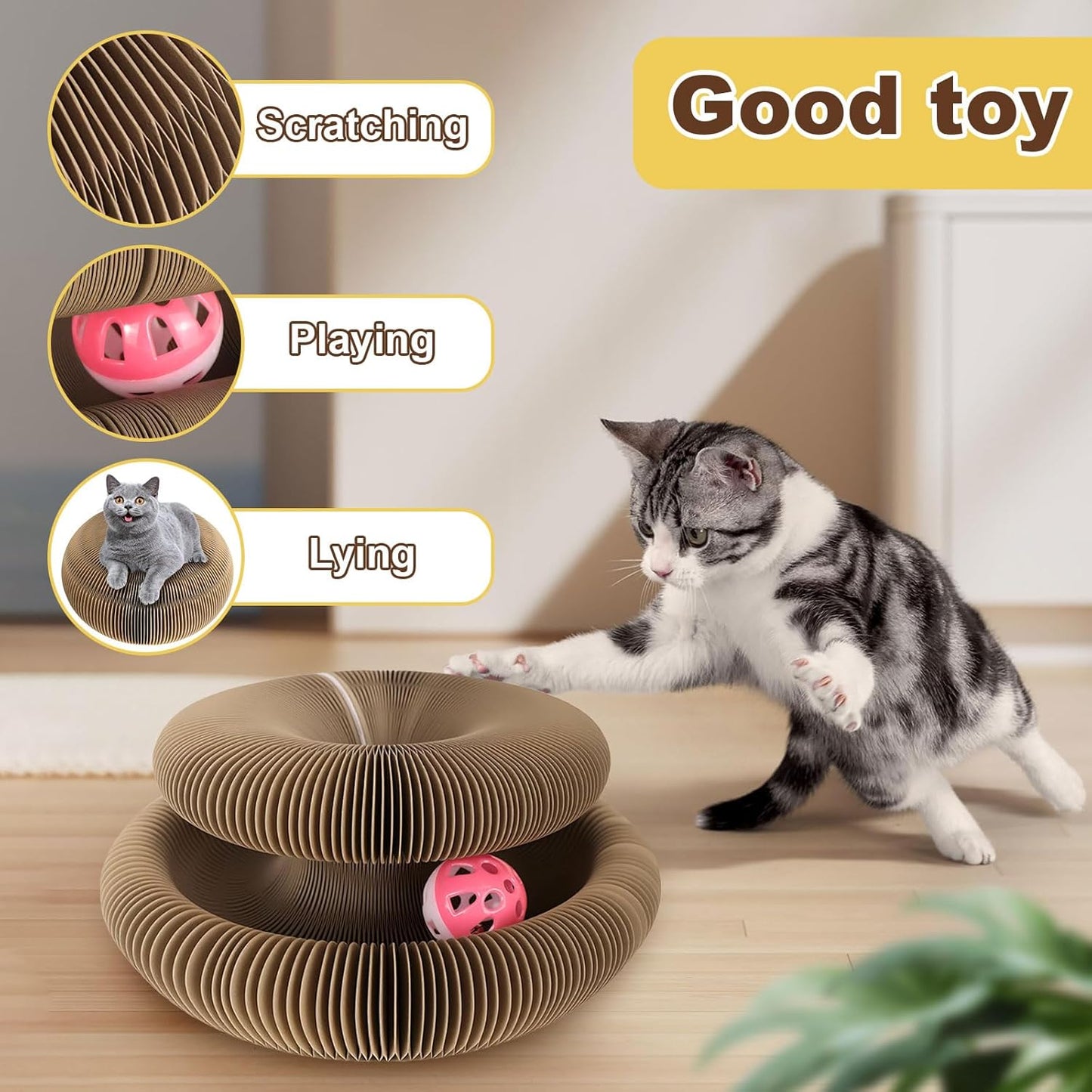 Magic Organ Cat Scratchers