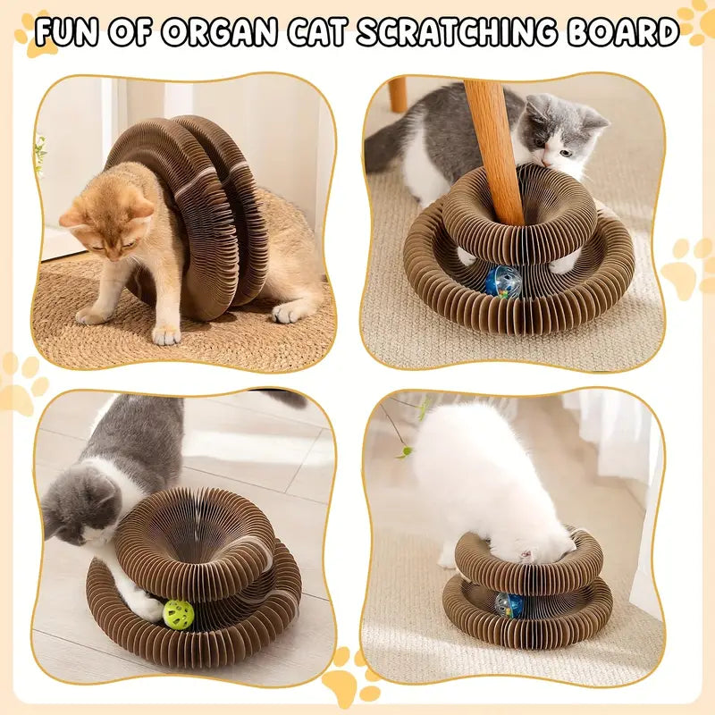 Magic Organ Cat Scratchers