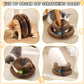 Magic Organ Cat Scratchers